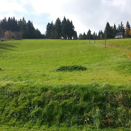Ferienhaus Am Skihang Altenberg  Dış mekan fotoğraf