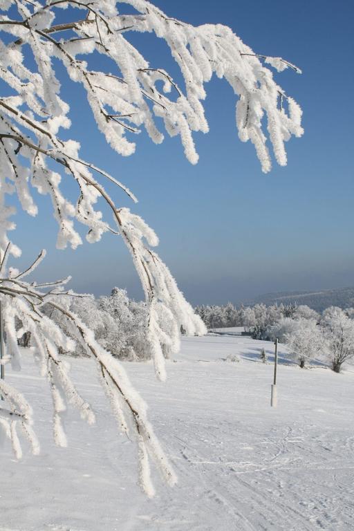 Ferienhaus Am Skihang Altenberg  Dış mekan fotoğraf