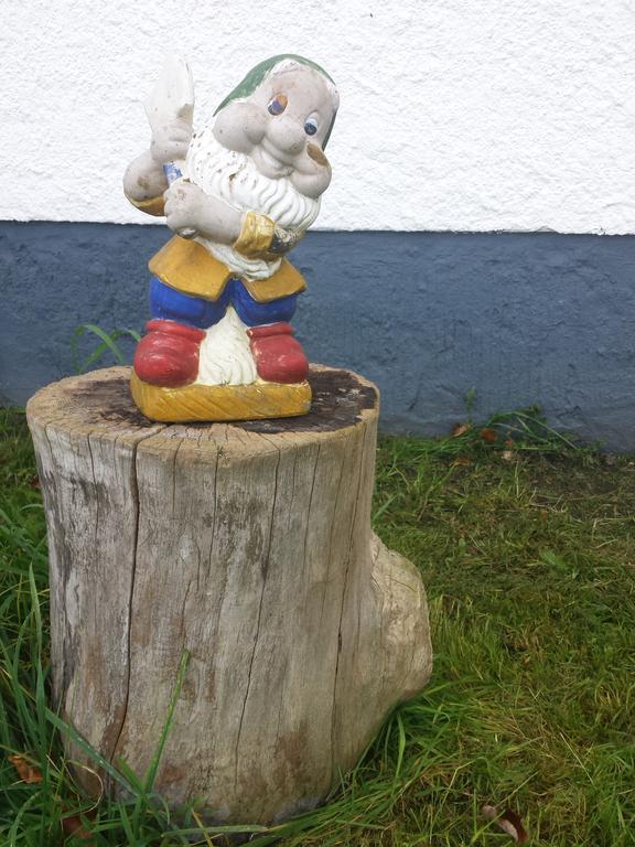 Ferienhaus Am Skihang Altenberg  Dış mekan fotoğraf