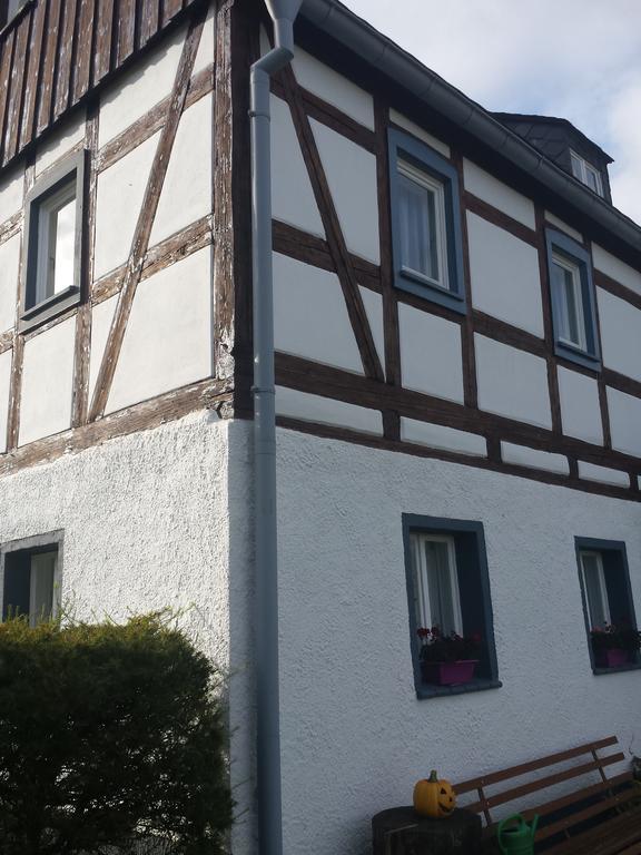 Ferienhaus Am Skihang Altenberg  Dış mekan fotoğraf